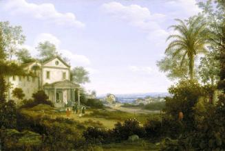 Brazilian Landscape