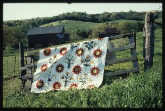 Sunflowers, by Kathryn Rouse. 1994 First Place National Winner, Land's End Quilt Contest.