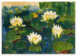 Water Lilies